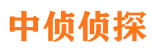 广东侦探公司